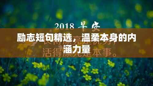 励志短句精选,温柔本身的内涵力量