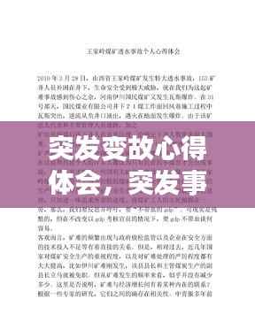 突发变故心得体会,突发事件个人心得体会