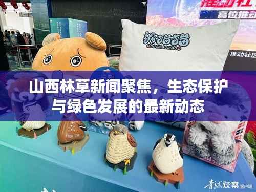 山西林草新闻聚焦,生态保护与绿色发展的最新动态
