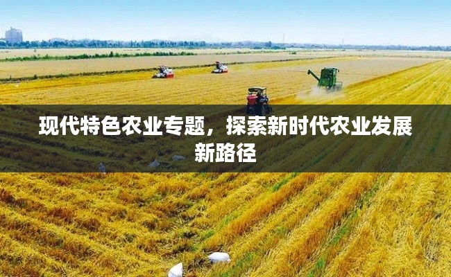 现代特色农业专题,探索新时代农业发展新路径