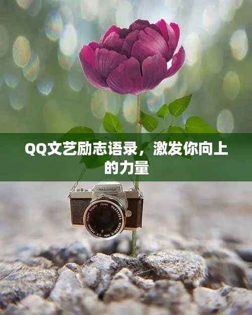 QQ文艺励志语录,激发你向上的力量
