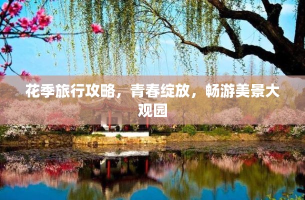 花季旅行攻略，青春绽放，畅游美景大观园