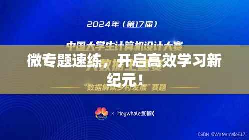 微专题速练,开启高效学习新纪元!