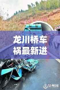 龙川桥车祸最新进展,今日消息全解析