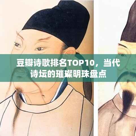 豆瓣诗歌排名TOP10,当代诗坛的璀璨明珠盘点