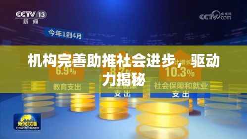 机构完善助推社会进步,驱动力揭秘