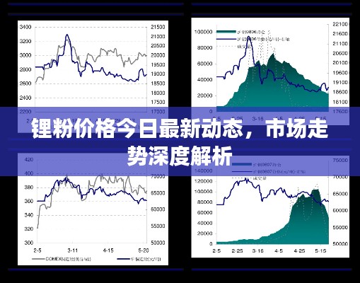 锂粉价格今日最新动态,市场走势深度解析
