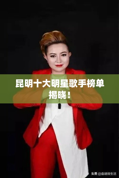 昆明十大明星歌手榜单揭晓!