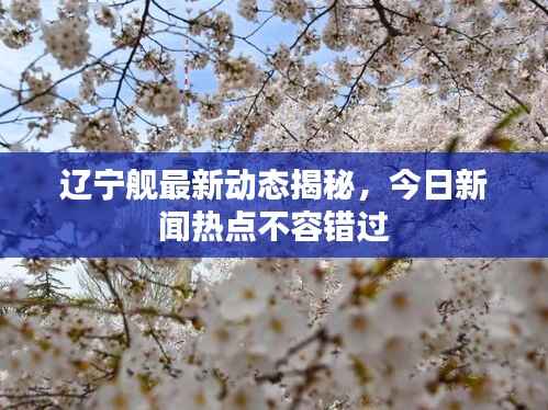 辽宁舰最新动态揭秘,今日新闻热点不容错过