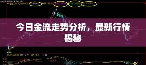 今日金流走势分析,最新行情揭秘