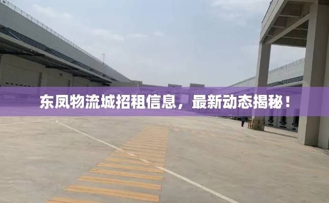 东凤物流城招租信息,最新动态揭秘!