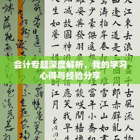 会计专题深度解析,我的学习心得与经验分享