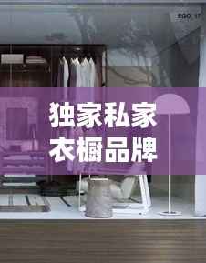 独家私家衣橱品牌,引领个性化时尚新纪元