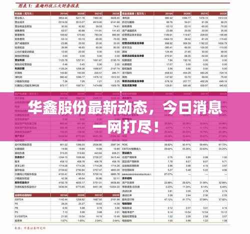华鑫股份最新动态,今日消息一网打尽!