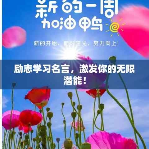 励志学习名言,激发你的无限潜能!