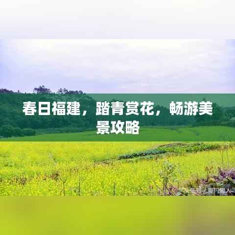 春日福建,踏青赏花,畅游美景攻略