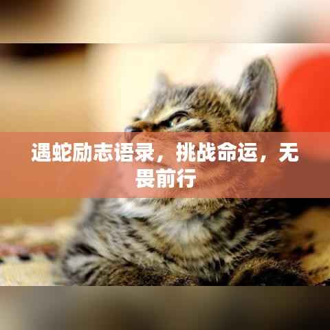 遇蛇励志语录,挑战命运,无畏前行