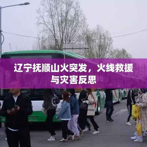 辽宁抚顺山火突发,火线救援与灾害反思