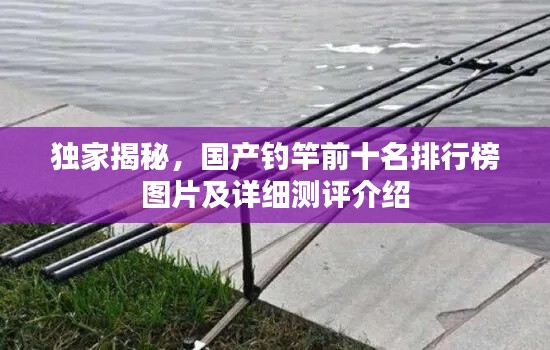 独家揭秘,国产钓竿前十名排行榜图片及详细测评介绍