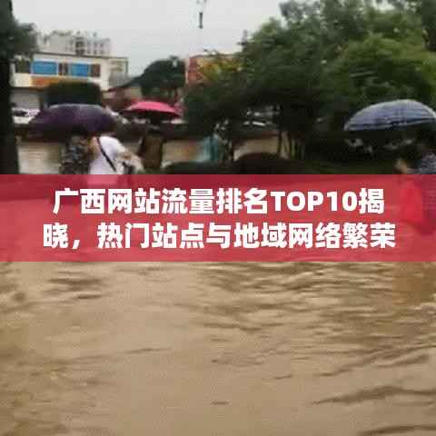 广西网站流量排名TOP10揭晓,热门站点与地域网络繁荣背后的秘密