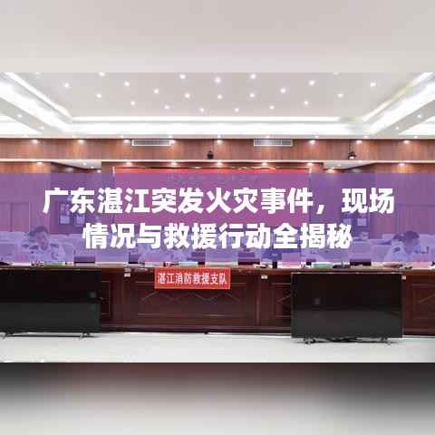 广东湛江突发火灾事件,现场情况与救援行动全揭秘