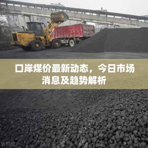 口岸煤价最新动态,今日市场消息及趋势解析