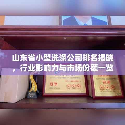 山东省小型洗涤公司排名揭晓,行业影响力与市场份额一览