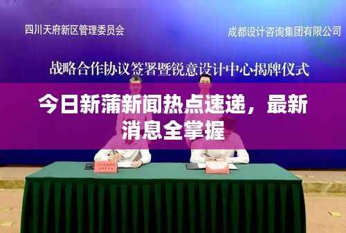 今日新蒲新闻热点速递,最新消息全掌握
