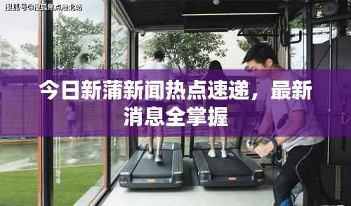 今日新蒲新闻热点速递,最新消息全掌握