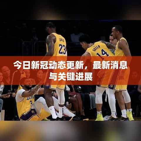 今日新冠动态更新,最新消息与关键进展