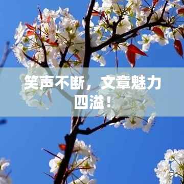 笑声不断,文章魅力四溢!