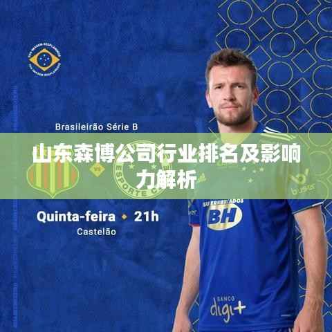 山东森博公司行业排名及影响力解析