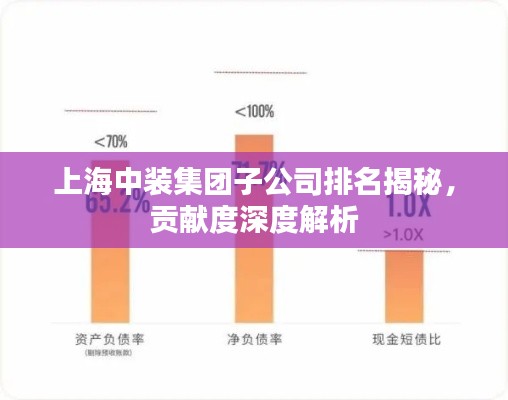上海中装集团子公司排名揭秘,贡献度深度解析