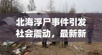 北海浮尸事件引发社会震动,最新新闻报道揭秘真相