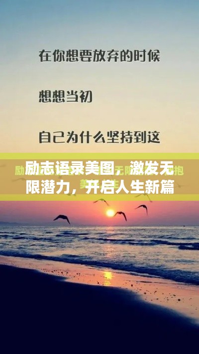 励志语录美图,激发无限潜力,开启人生新篇章!