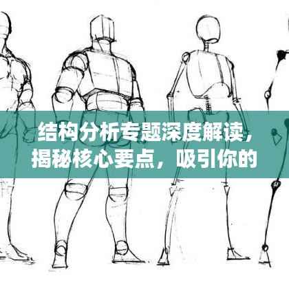 结构分析专题深度解读,揭秘核心要点,吸引你的目光!