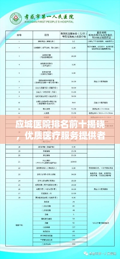 应城医院排名前十揭晓,优质医疗服务提供者一览无余