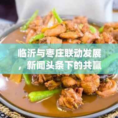 临沂与枣庄联动发展,新闻头条下的共赢合作新篇章