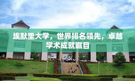 埃默里大学,世界排名领先,卓越学术成就瞩目