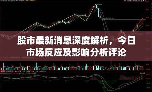 股市最新消息深度解析，今日市场反应及影响分析评论