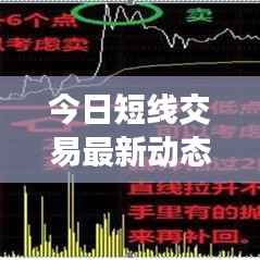 今日短线交易最新动态解析