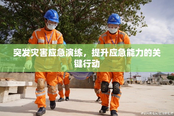 突发灾害应急演练,提升应急能力的关键行动