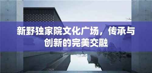 新野独家院文化广场,传承与创新的完美交融