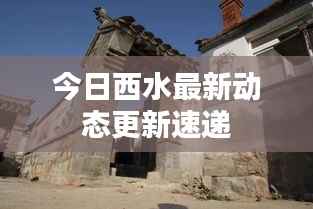 今日西水最新动态更新速递