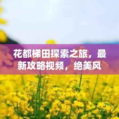 花都梯田探索之旅,最新攻略视频,绝美风光一览
