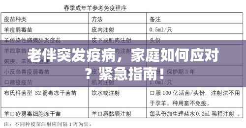 老伴突发疫病,家庭如何应对?紧急指南!