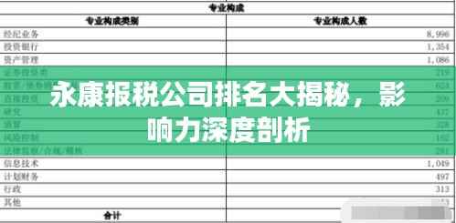 永康报税公司排名大揭秘,影响力深度剖析