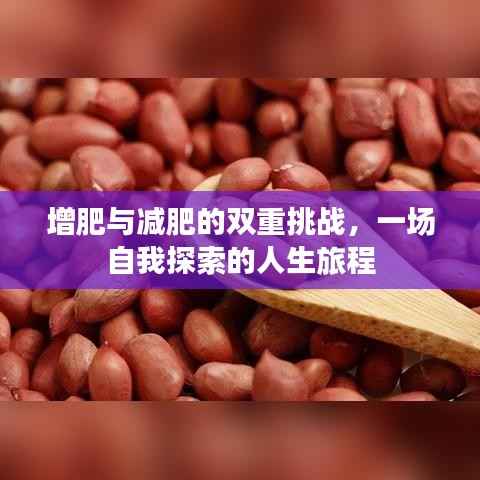增肥与减肥的双重挑战,一场自我探索的人生旅程
