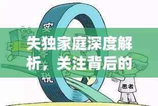 失独家庭深度解析,关注背后的故事与需求
