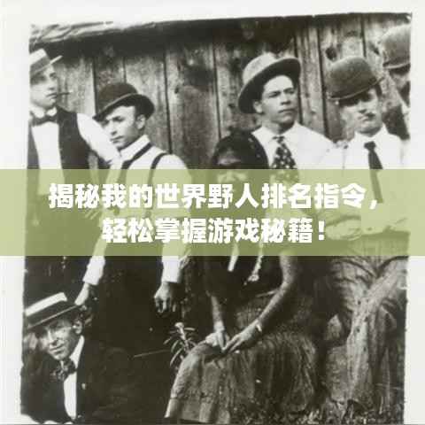 揭秘我的世界野人排名指令,轻松掌握游戏秘籍!